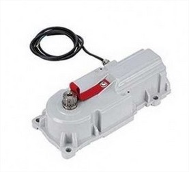 FAAC 10675301 770N 24V Oprateur lectromcanique enterr